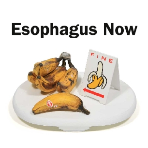 Esophagus Now